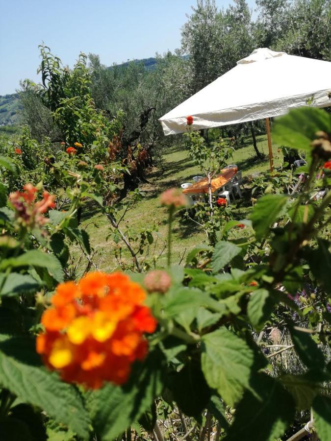 Vacanze In Collina, Tra Mare E Monti Bucchianico Exteriör bild